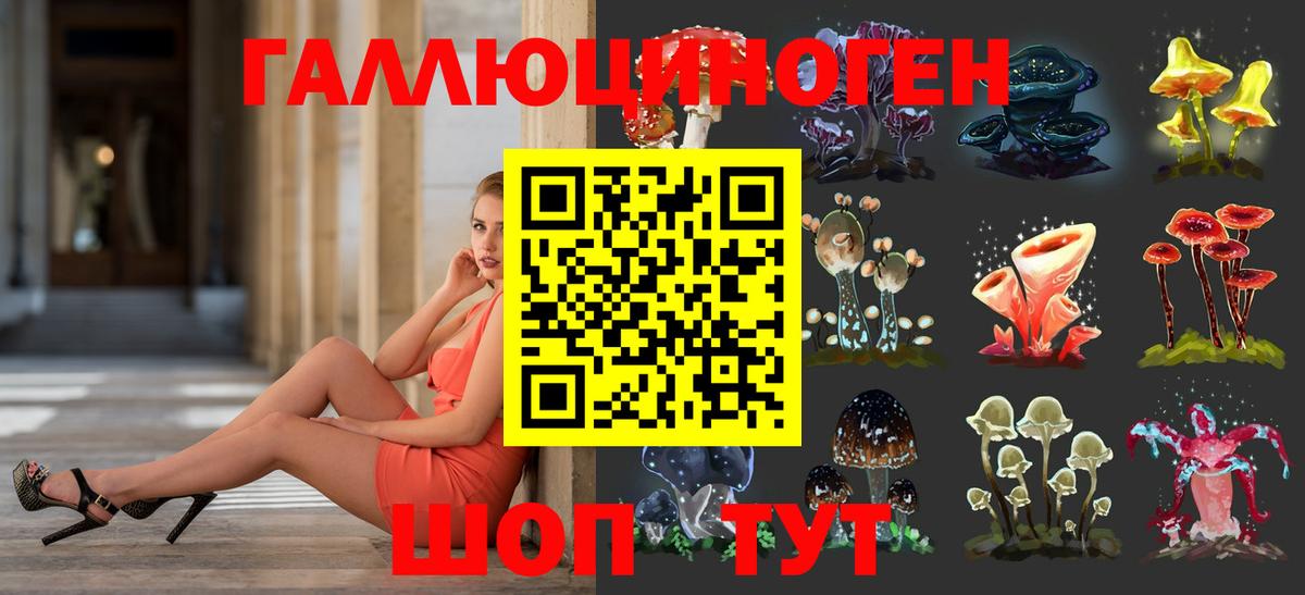 Галлюциногенные грибы Psilocybe  Вход с VPN  Кропоткин 